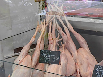 A Working River - 13