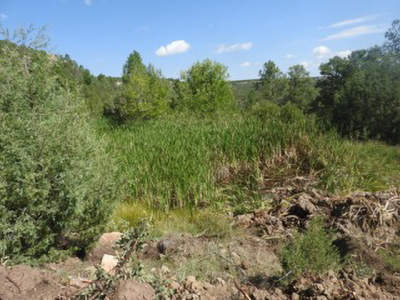Apache Mesa