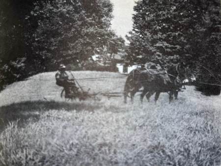 Man on a plow being drawn by horses