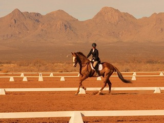 Girls, Ponies and Horses