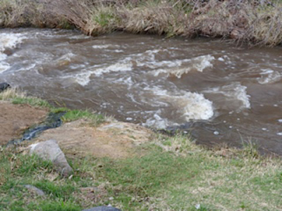 River at Bodhi Manda Zen Center