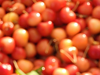 santa_fe_farmers_market_3