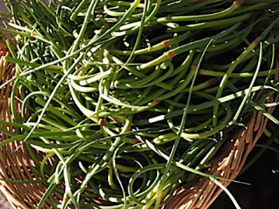 santa_fe_farmers_market_4