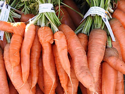 santa_fe_farmers_market_5