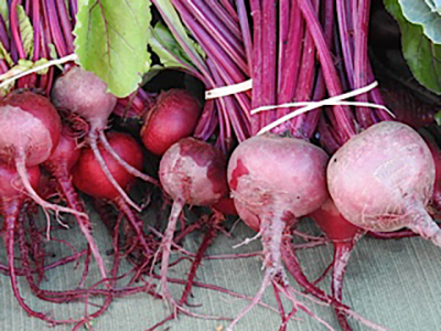 santa_fe_farmers_market_6