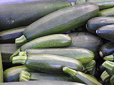 santa_fe_farmers_market_8