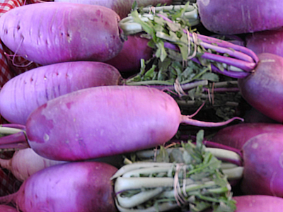 Santa Fe Farmers Market - Radishes