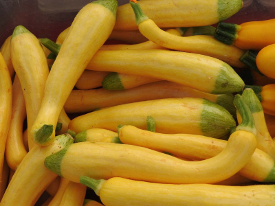 Santa Fe Farmers Market - Squash