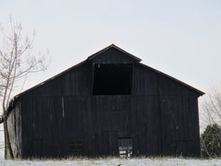 Kentucky Farm