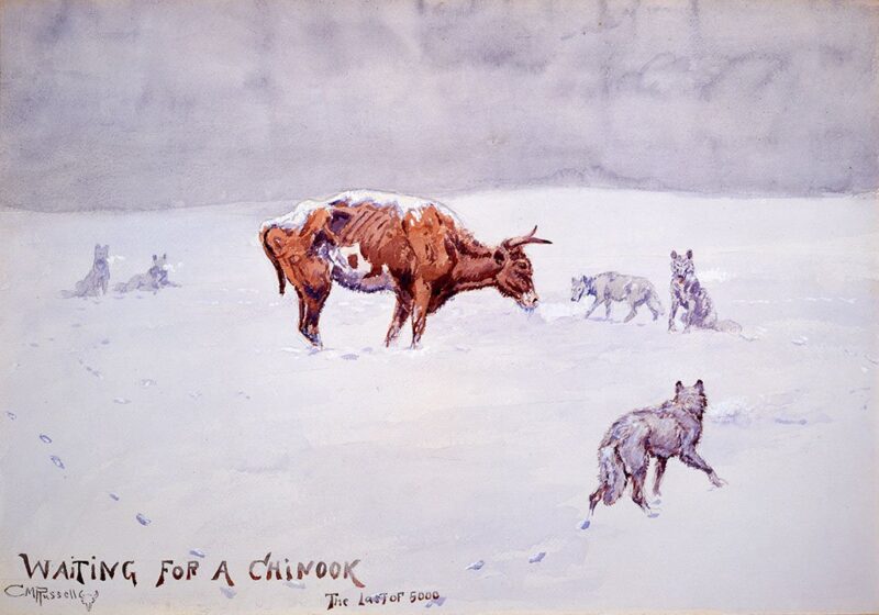 Charlie Russell painting of a cow circled by wolves