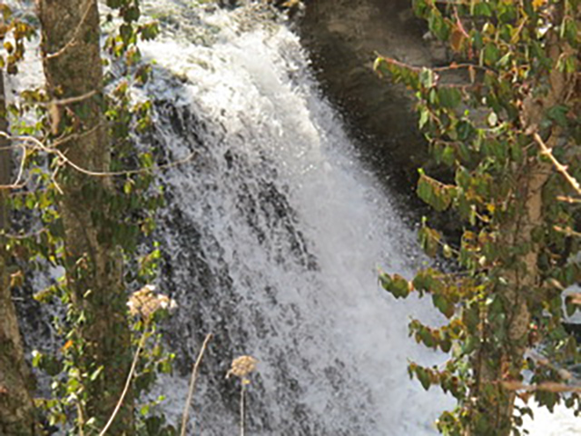 Waterfall at Wolf Pen Mill, Kentucky