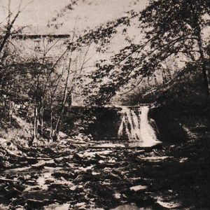 Wolf Pen Farm - Kentucky Progress Magazine