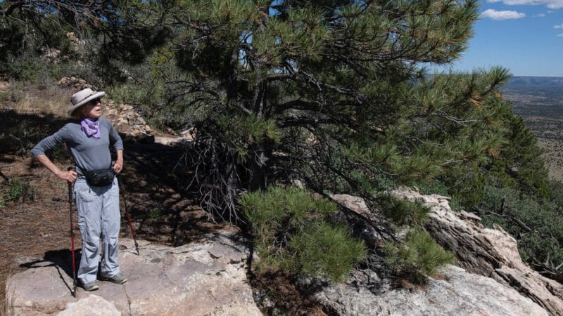 Photo of Sallie Bingham looking out over the Gallinas River valley