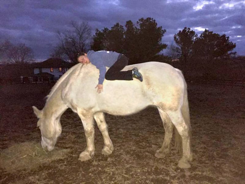 Astride: Women, Girls, Horses—and Wolves