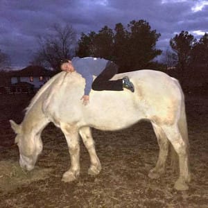 Astride: Women, Girls, Horses—and Wolves