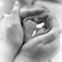 The Mother of All Questions