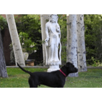 Black Pip and Quan Yin