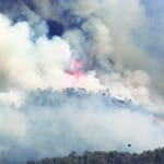 Where's Your Cynefin?