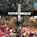 Chicken Picking and Flag Waving