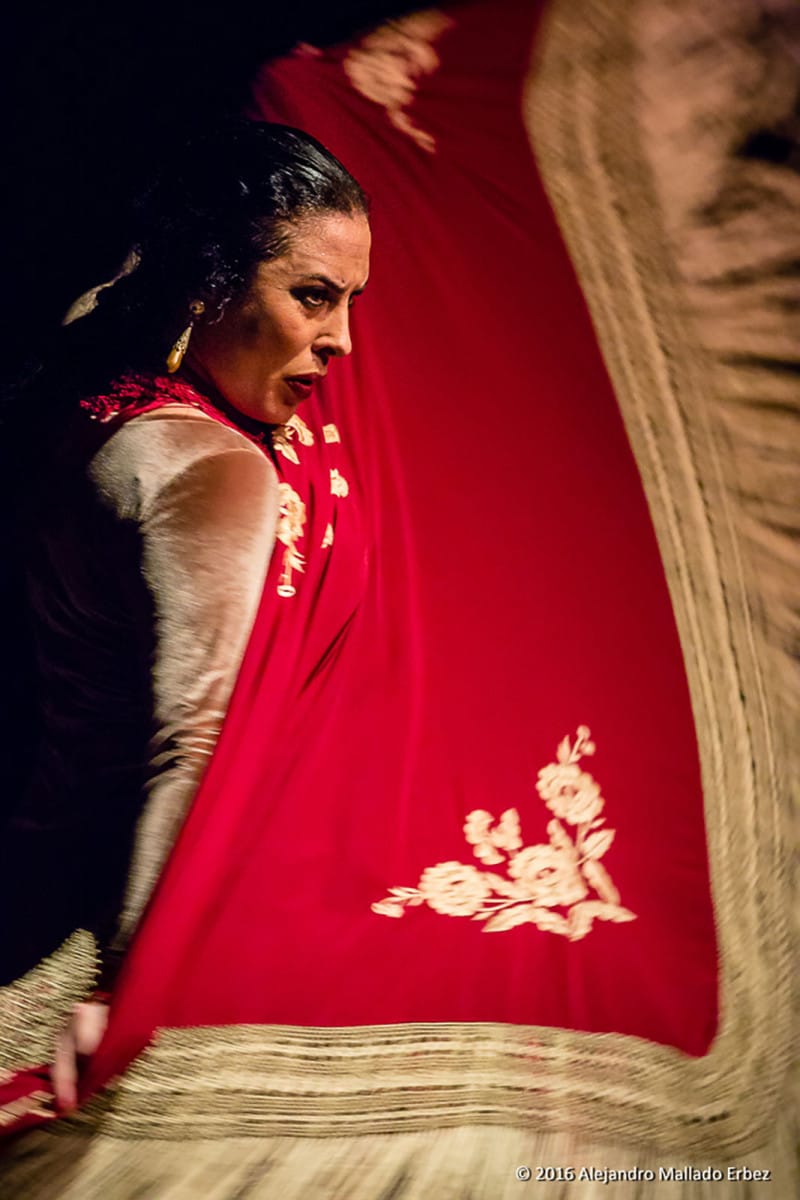 Flamenco Dancer - Alejandro Mallado Erbez