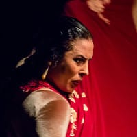 Flamenco Dancer - Alejandro Mallado Erbez