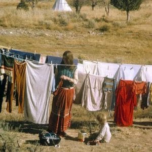 Where Have All the Flowers Gone Two