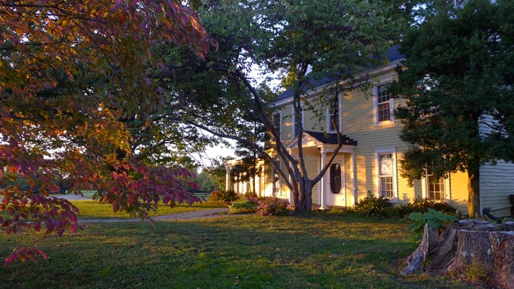 Hopscotch House - Nicci Mechler