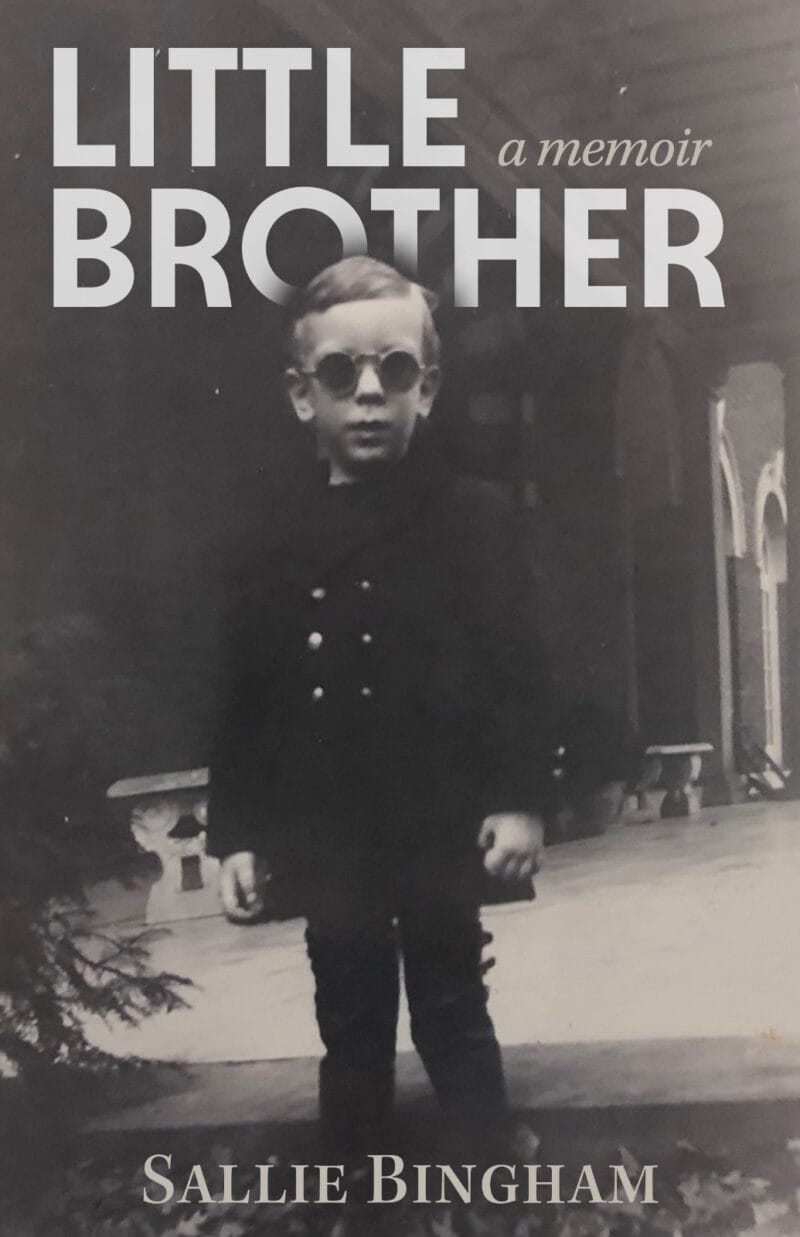 Cover of the book Little Brother