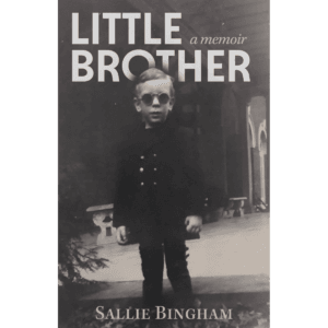 Cover of the book Little Brother