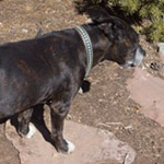 After A While In Cities...