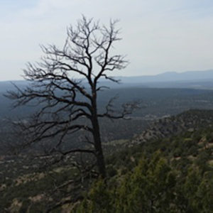 Sangre de Cristo
