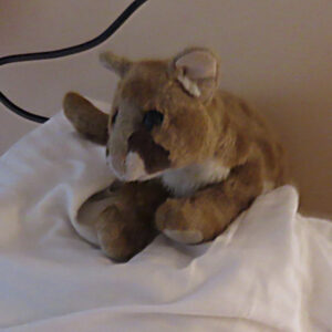 Photo of small stuffed animal on a pillow
