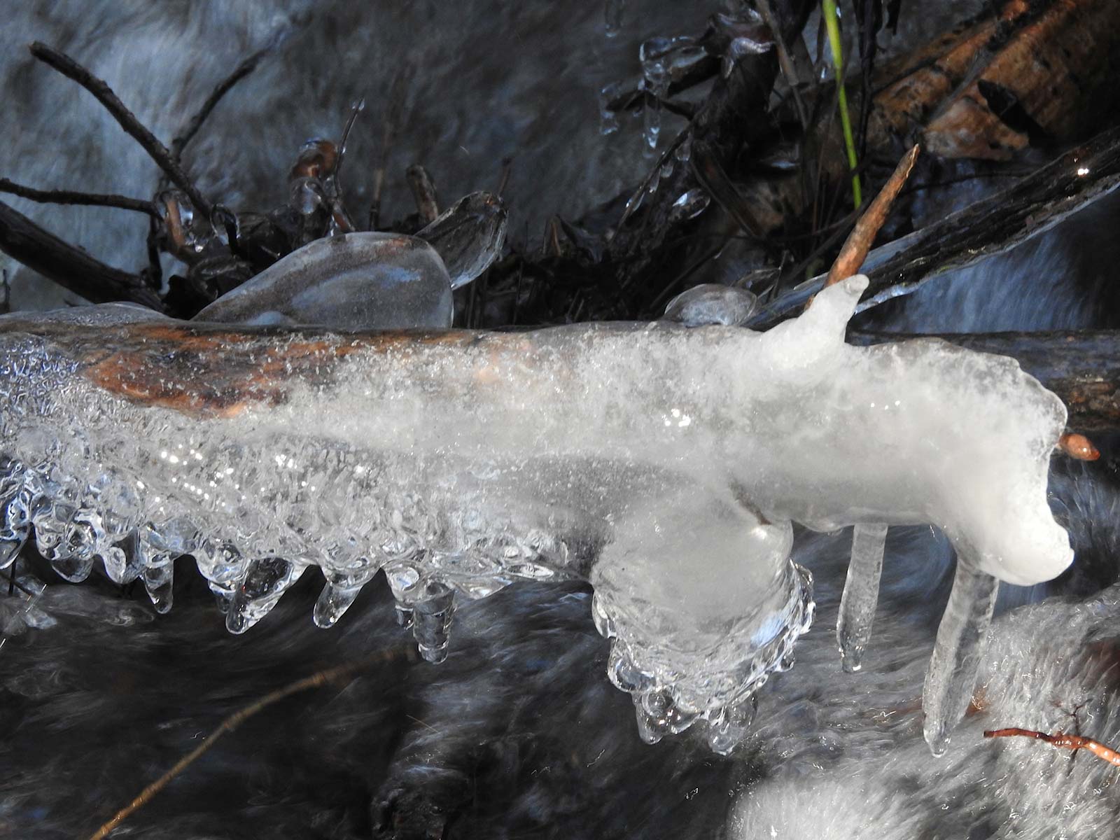 Spring Is like a Perhaps Hand in the Window - 1