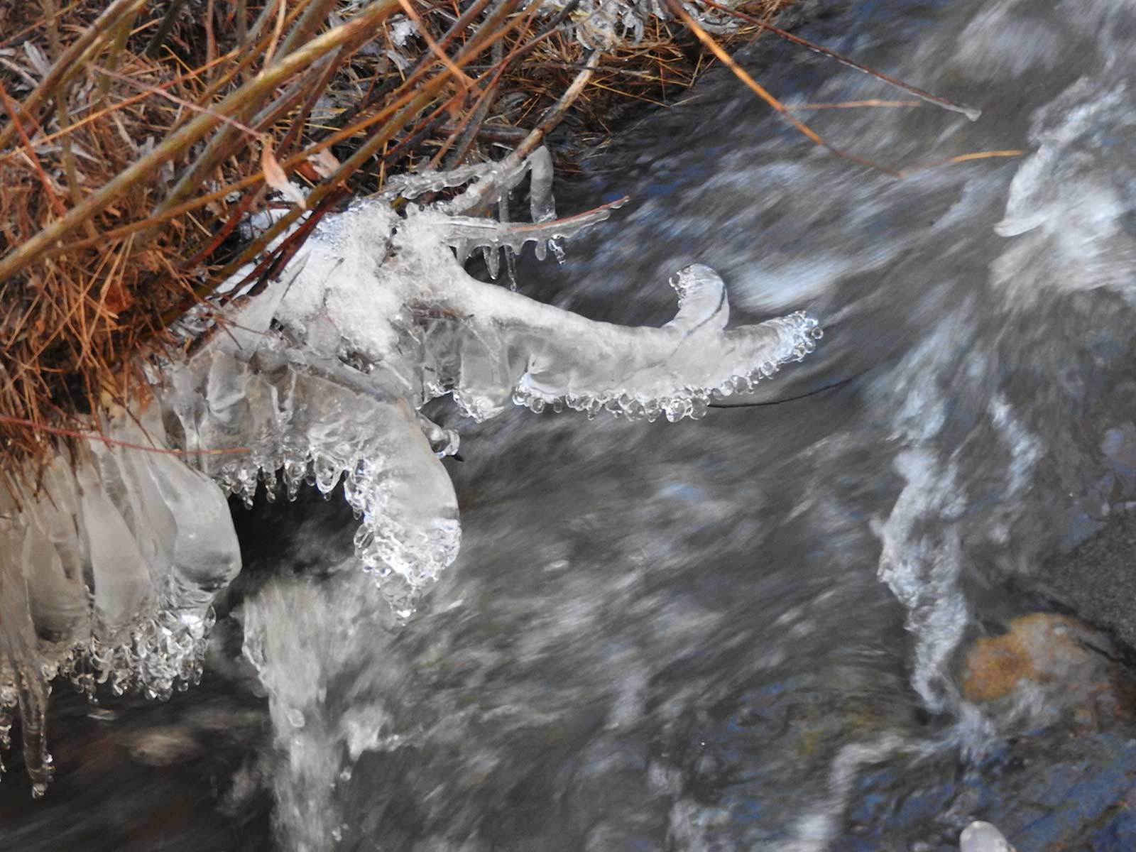 Spring Is like a Perhaps Hand in the Window - 1