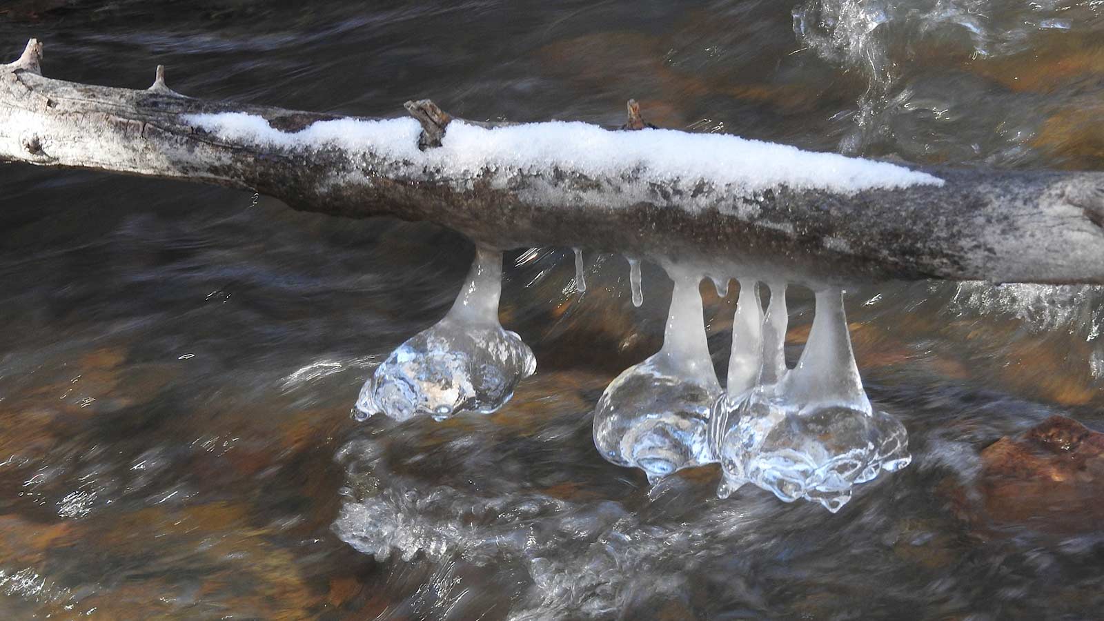 Spring Is like a Perhaps Hand in the Window - 4