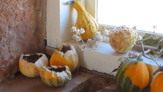 Photo of Gourds in the window