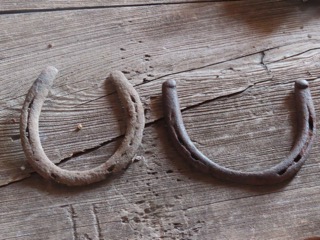 Photo of old horseshoes