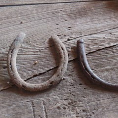 Photo of old horseshoes