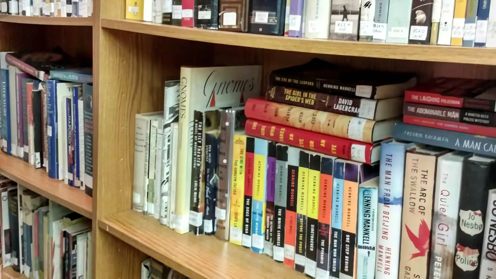 Book shelves at the Truchas, New Mexico library