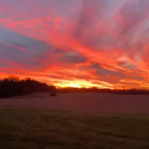 Sunset at Wolf Pen Branch Mill Farm