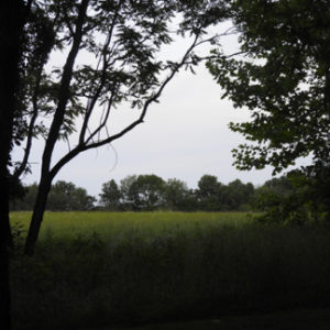 Wolf Pen Mill at Twilight